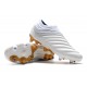 Adidas Copa 19 FG White Gold Football Boots