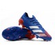 Adidas Predator Mutator 20.1 FG Low Red White Blue Football Boots