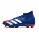 Adidas Predator Mutator 20.1 AG Blue White Orange Football Boots