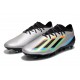 Adidas X Speedportal .1 2022 World Cup Boots FG Low Silver Black Football Boots